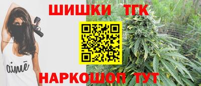 молекула духа Будённовск