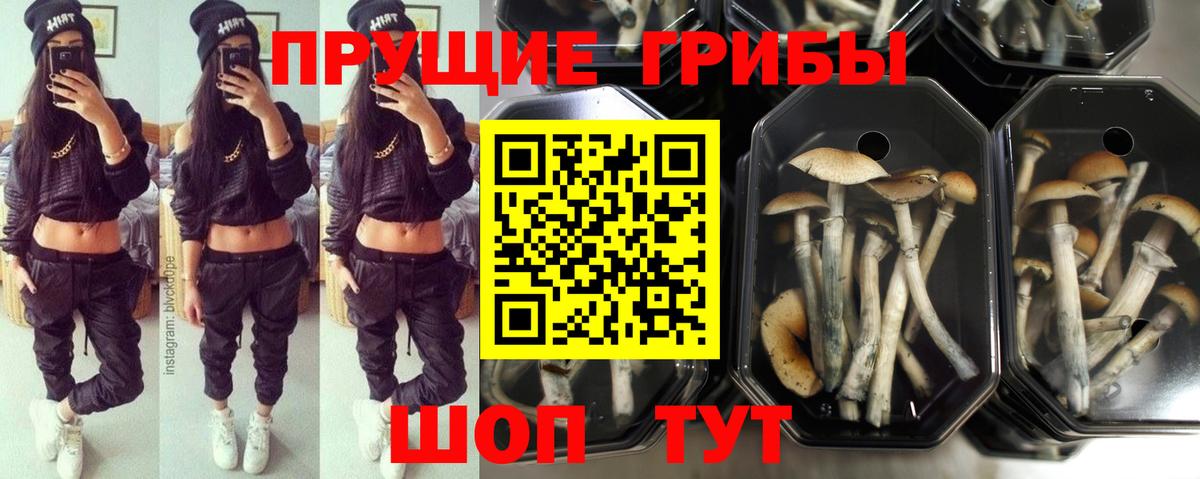 Галлюциногенные грибы ЛСД Туймазы